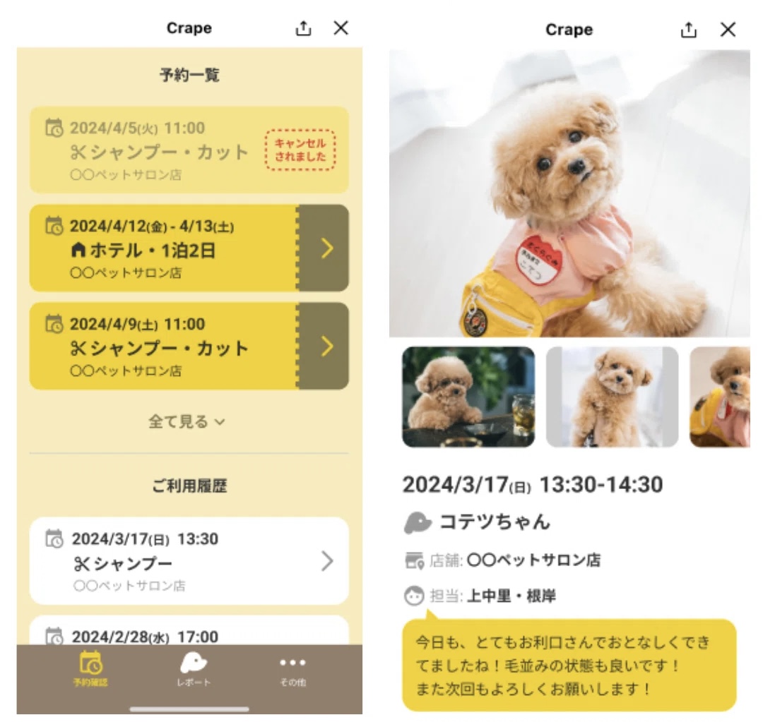 COLORER(クロレ) -dog salon- 横浜本店 8