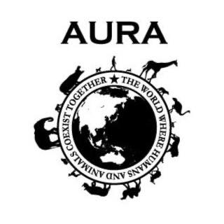 静岡県浜松市中央区のトリミングサロン DOGSALON AURAのサムネイル2枚目
