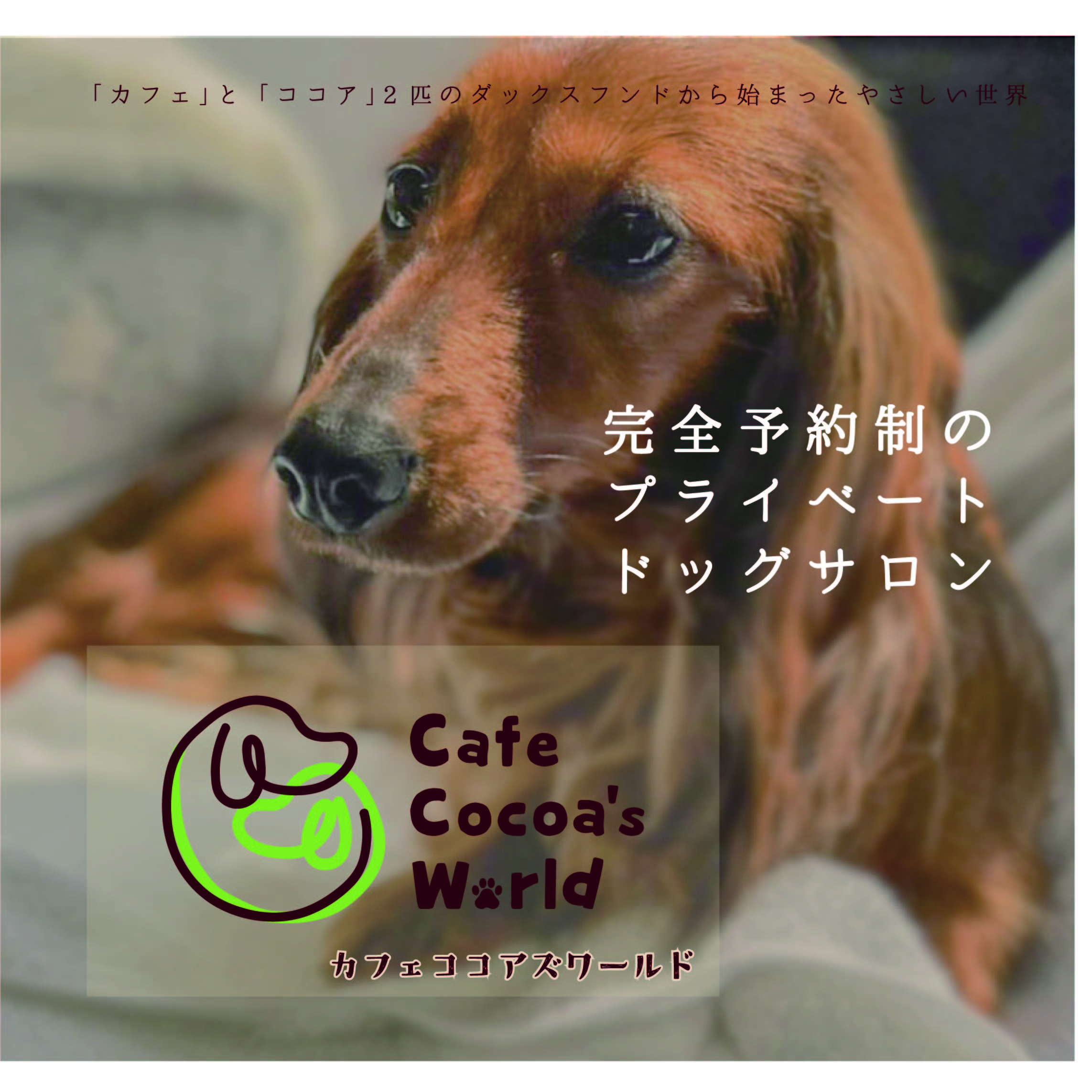宮城県仙台市太白区のトリミングサロン ドッグサロン cafe cocoa's worldのサムネイル2枚目