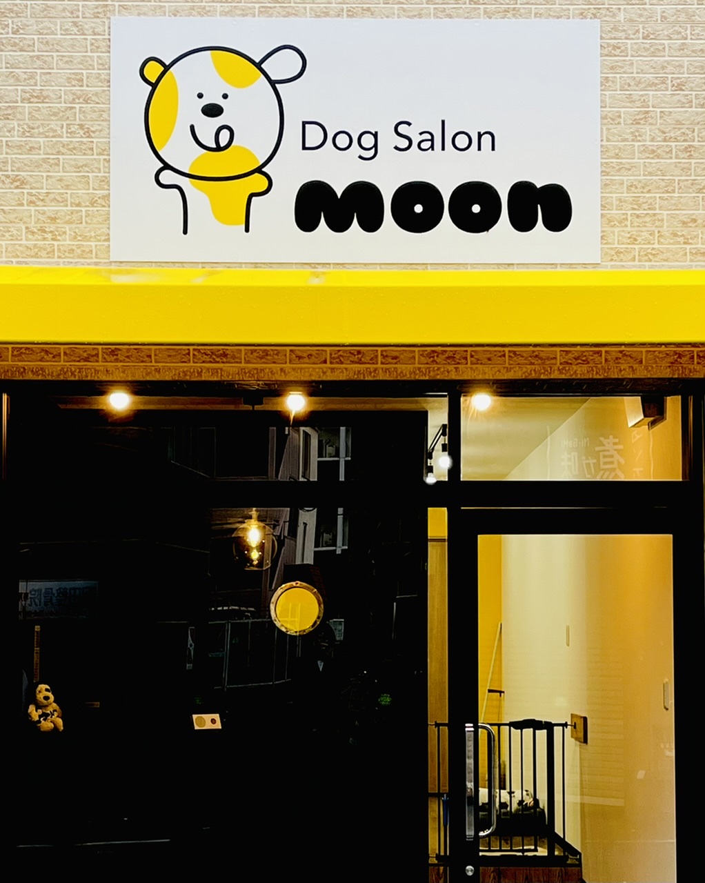 大阪府大阪市淀川区のトリミングサロン Dog Salon moonの1枚目