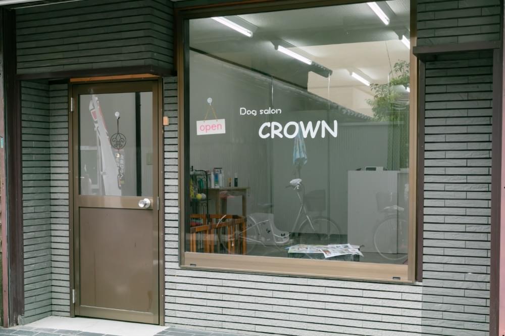 Dog salon CROWN 1