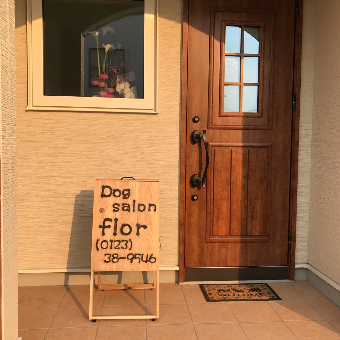 Dog salon flor 1