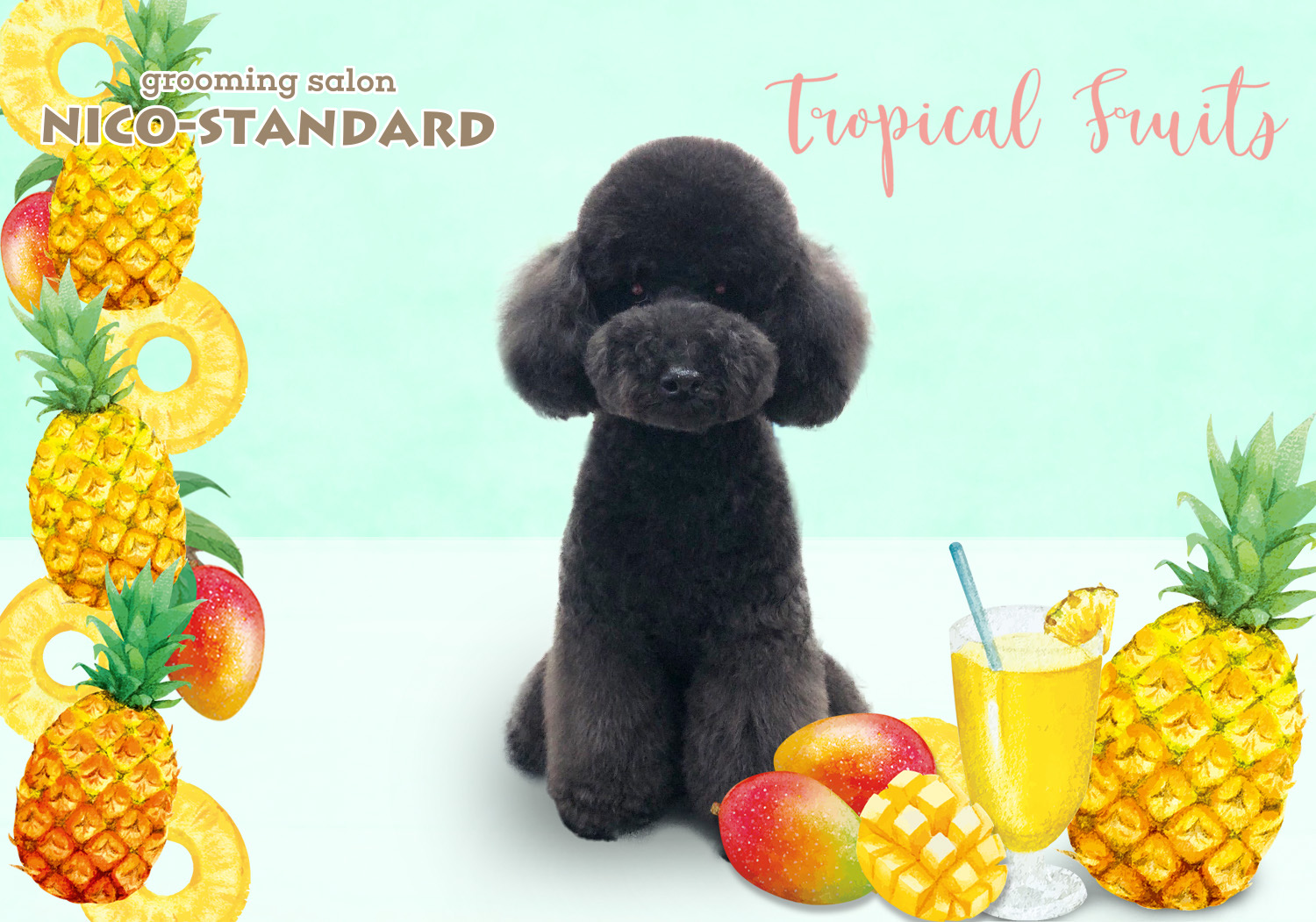 トリミングサロン grooming salon NICO-STANDARDのトリミングカット-7802の1枚目