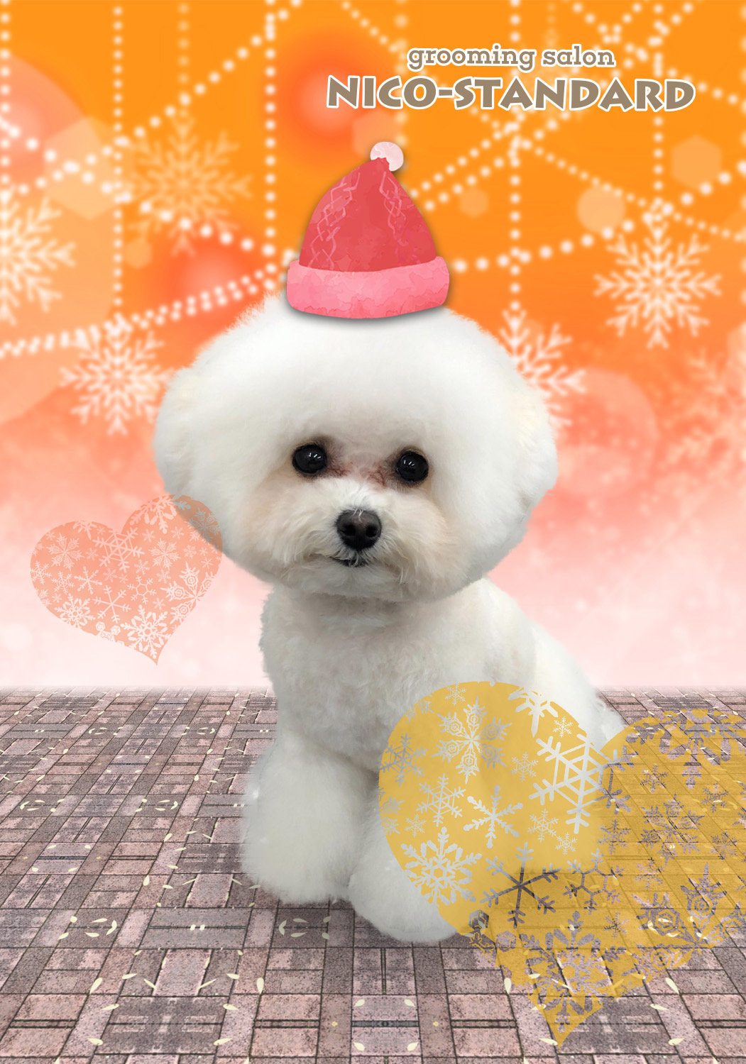 トリミングサロン grooming salon NICO-STANDARDのトリミングカット-7740の3枚目