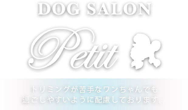 ドッグサロン petit のサムネイル