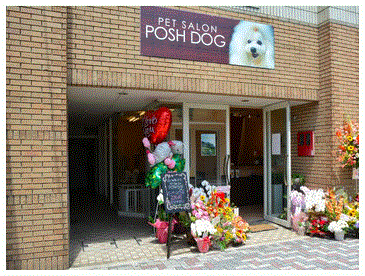 静岡県静岡市葵区のトリミングサロン PET SALON POSH DOGの2枚目