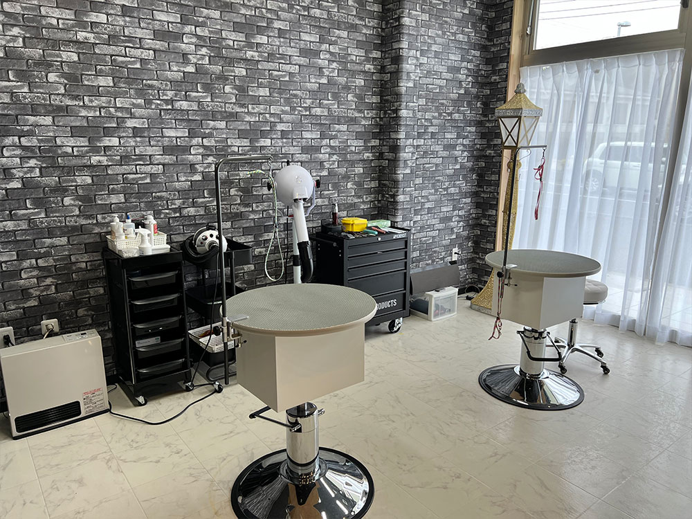 茨城県つくば市のトリミングサロン Dog Salon AVISIAのサムネイル2枚目
