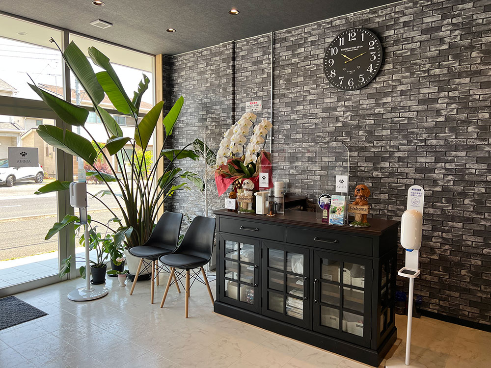Dog Salon AVISIA のサムネイル