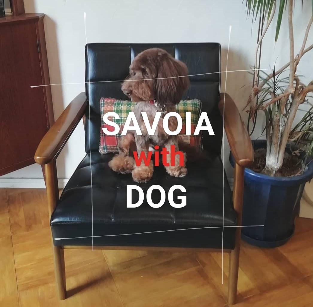 Hair salon SAVOIA with DOG 1
