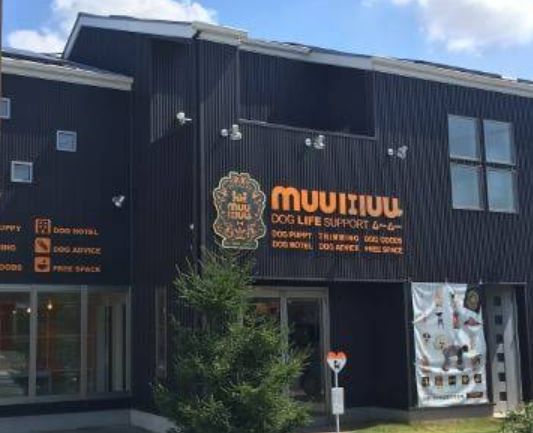 DOG LIFE SUPPORT muumuu(ドッグライフサポート ムームー) のサムネイル