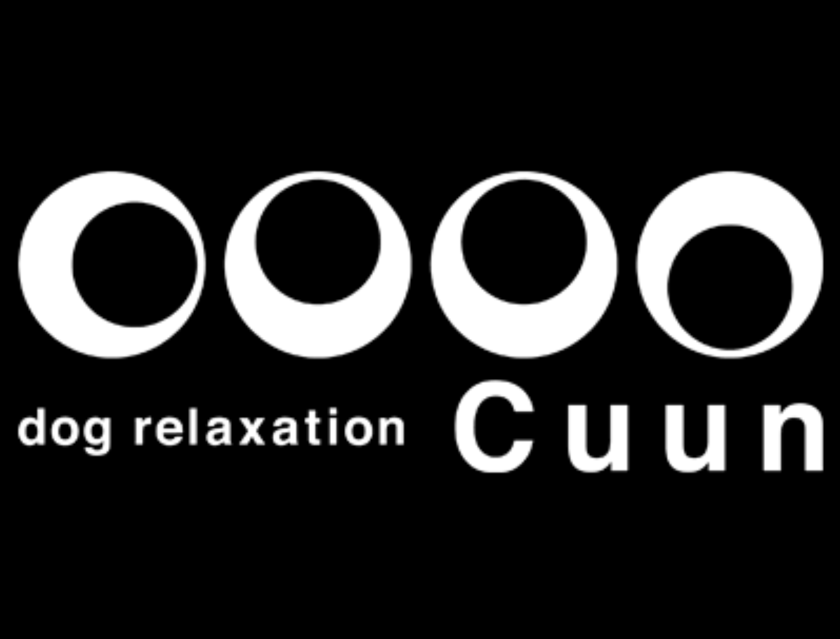 愛知県豊橋市のトリミングサロン dog relaxation Cuunのサムネイル1枚目