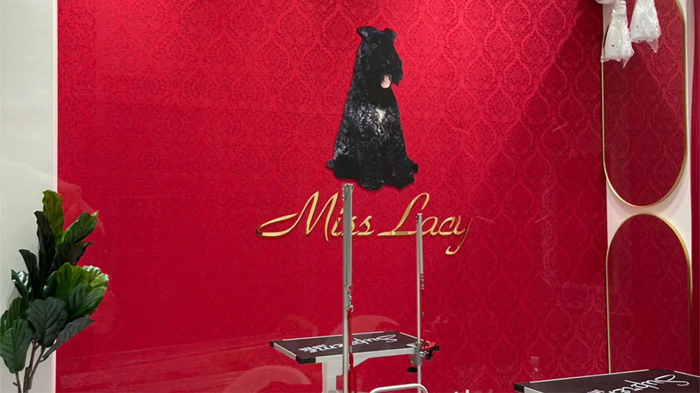 愛犬おしゃれ工房MissLacy 船橋 1