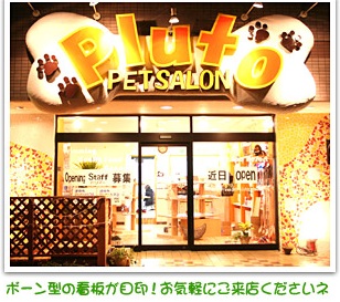 千葉県松戸市のトリミングサロン PetSalon Pluto 松戸店の2枚目