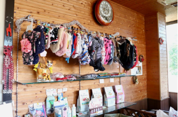 Marie’s Dog Cafe 6