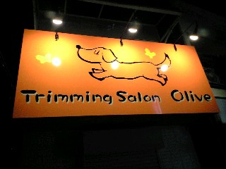 東京都足立区のトリミングサロン Trimming Salon Oliveのサムネイル2枚目