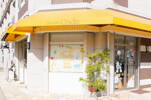 兵庫県神戸市長田区のトリミングサロン Dog Salon Cradle（クレイドル）の1枚目