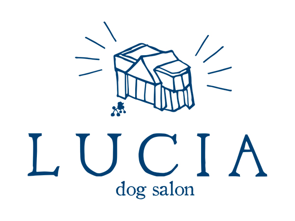 東京都練馬区のトリミングサロン dog salon LUCIAの1枚目