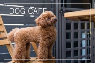 ドッグサロン＆カフェ Pono 5