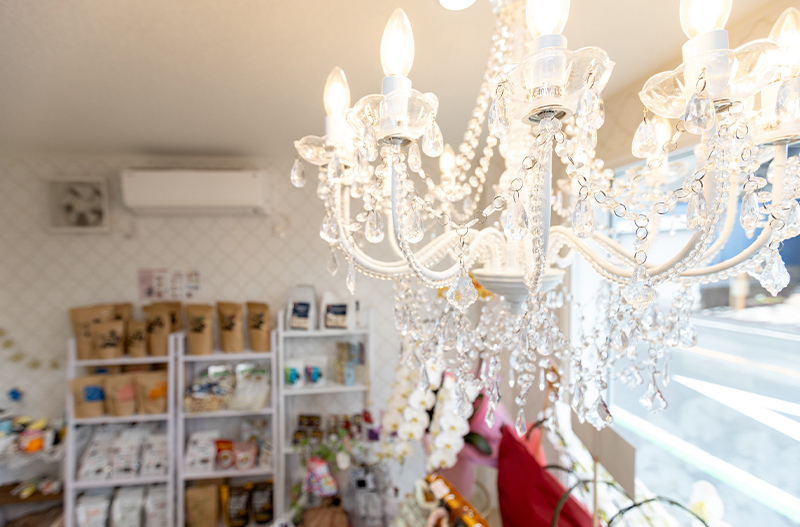 Trimming Salon Jane 3