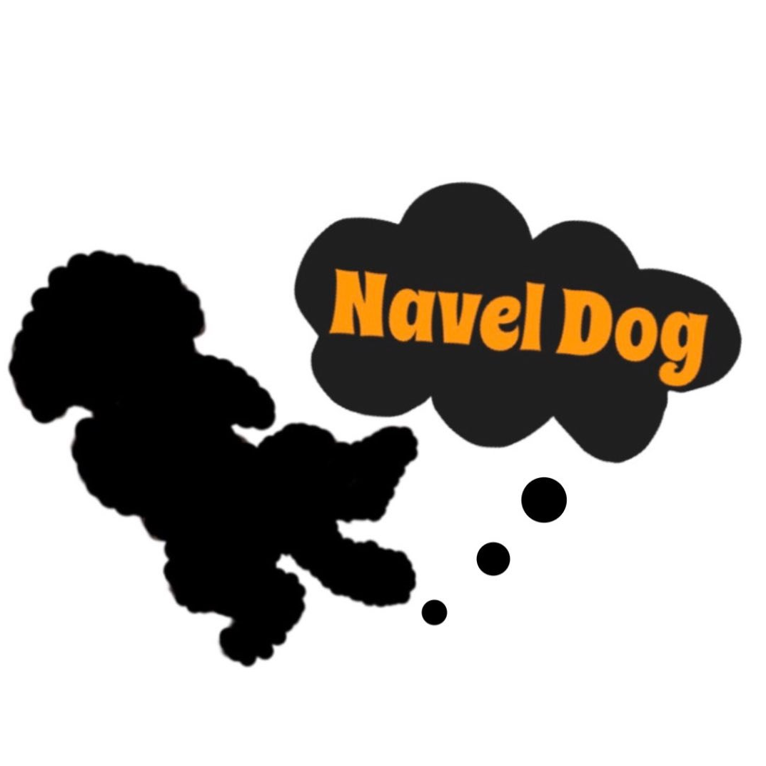 神奈川県横浜市港南区のトリミングサロン Navel Dogのサムネイル1枚目