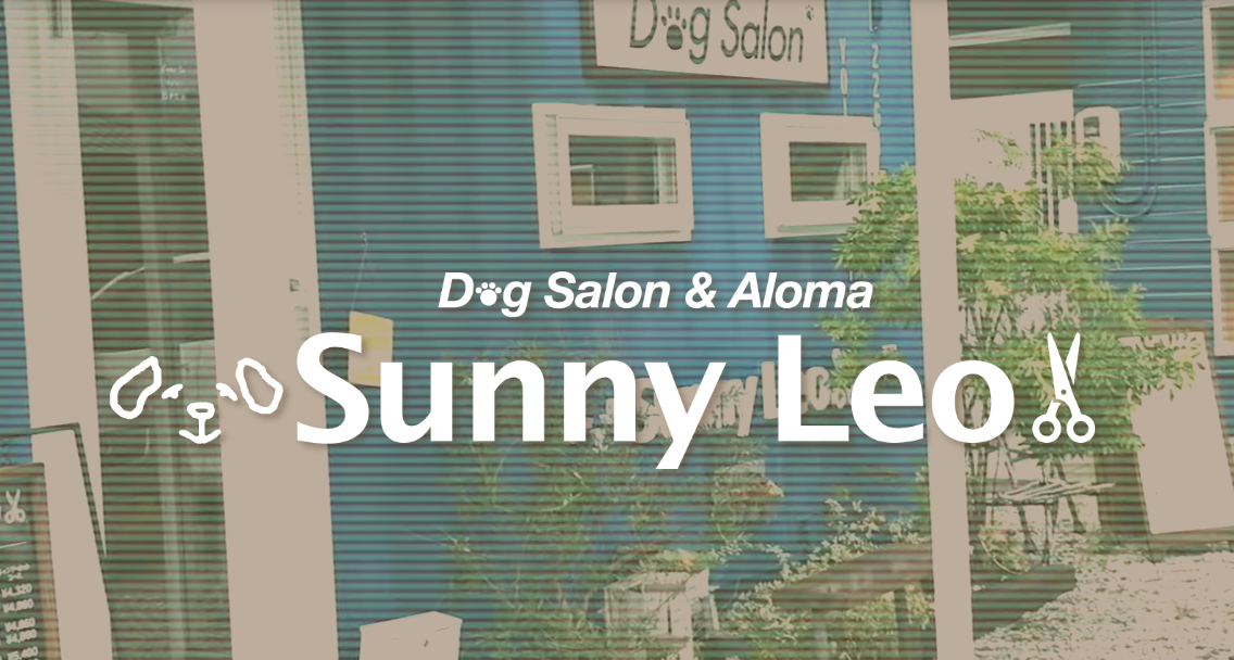 静岡県浜松市中央区のトリミングサロン Dog Salon & Aloma Sunny Leoのサムネイル1枚目