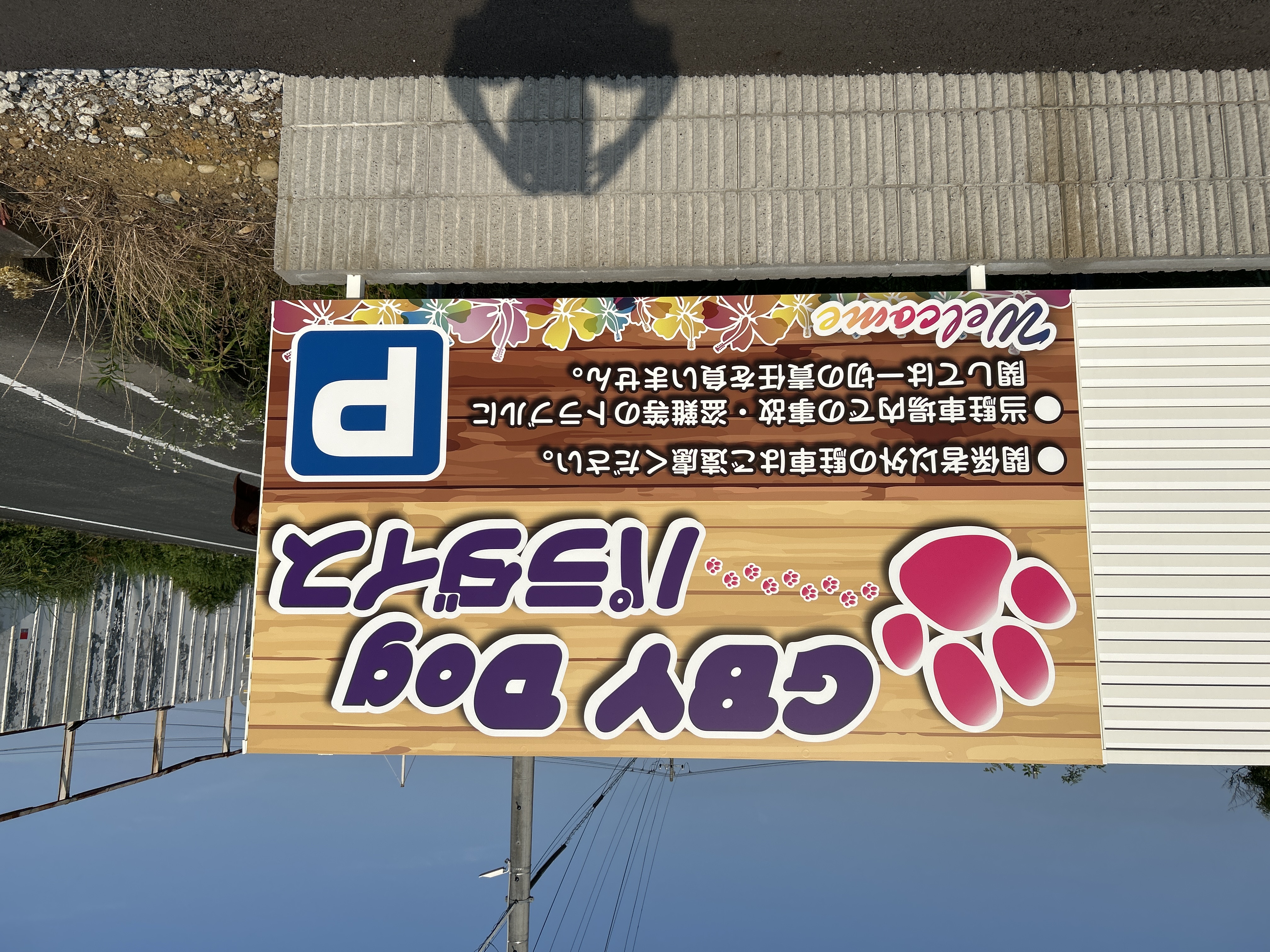 静岡県浜松市浜名区のトリミングサロン GBYDogパラダイスの3枚目
