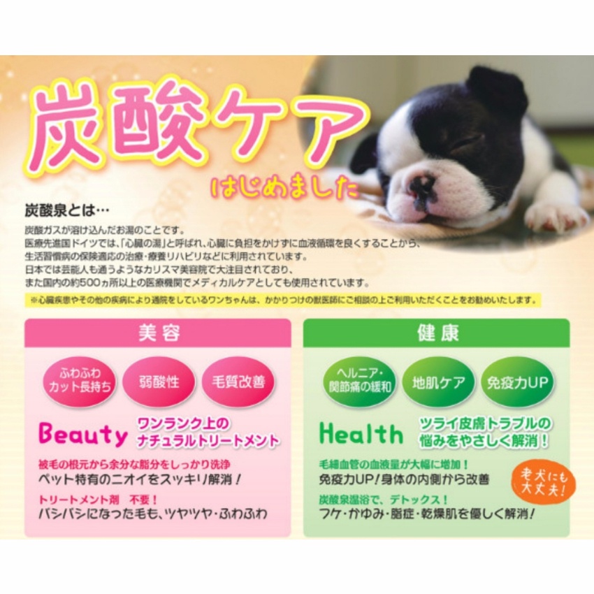 千葉県佐倉市のトリミングサロン とりむ Minaのサムネイル2枚目