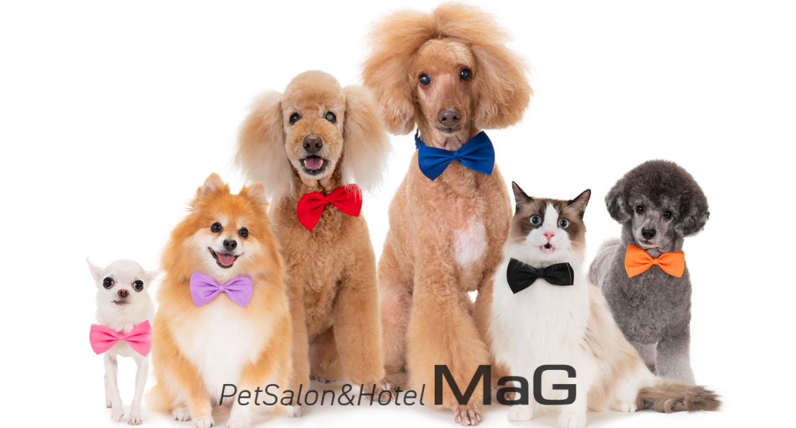 PetSalon&Hotel MaG 1