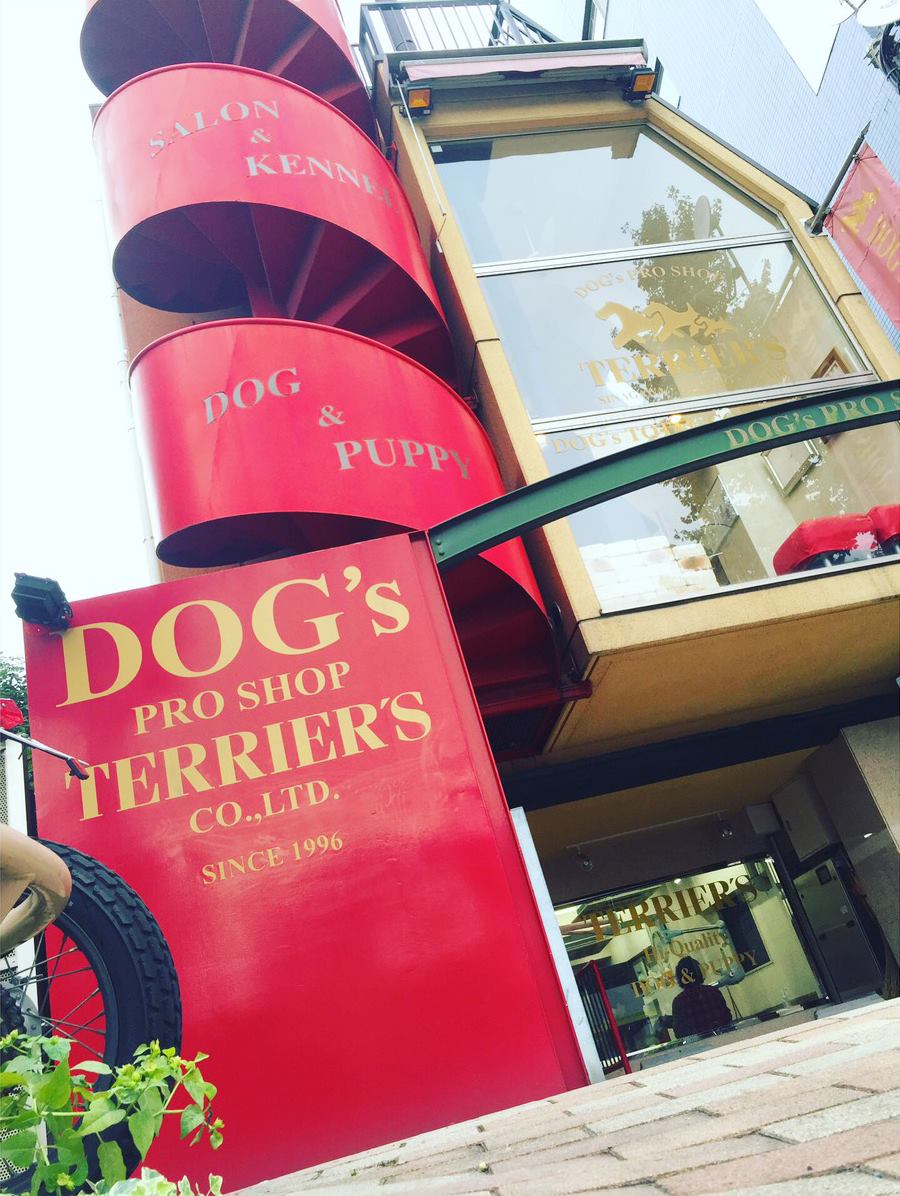 DOG's PROSHOP TERRIER'S 目黒店 のサムネイル