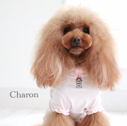 トリミングサロン Dog Salon Charmoa のトリミングカット-1318の1枚目