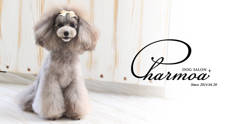 Dog Salon Charmoa  のサムネイル