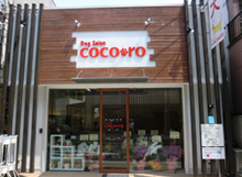 大阪府松原市のトリミングサロン Dog Salon coco-roの2枚目