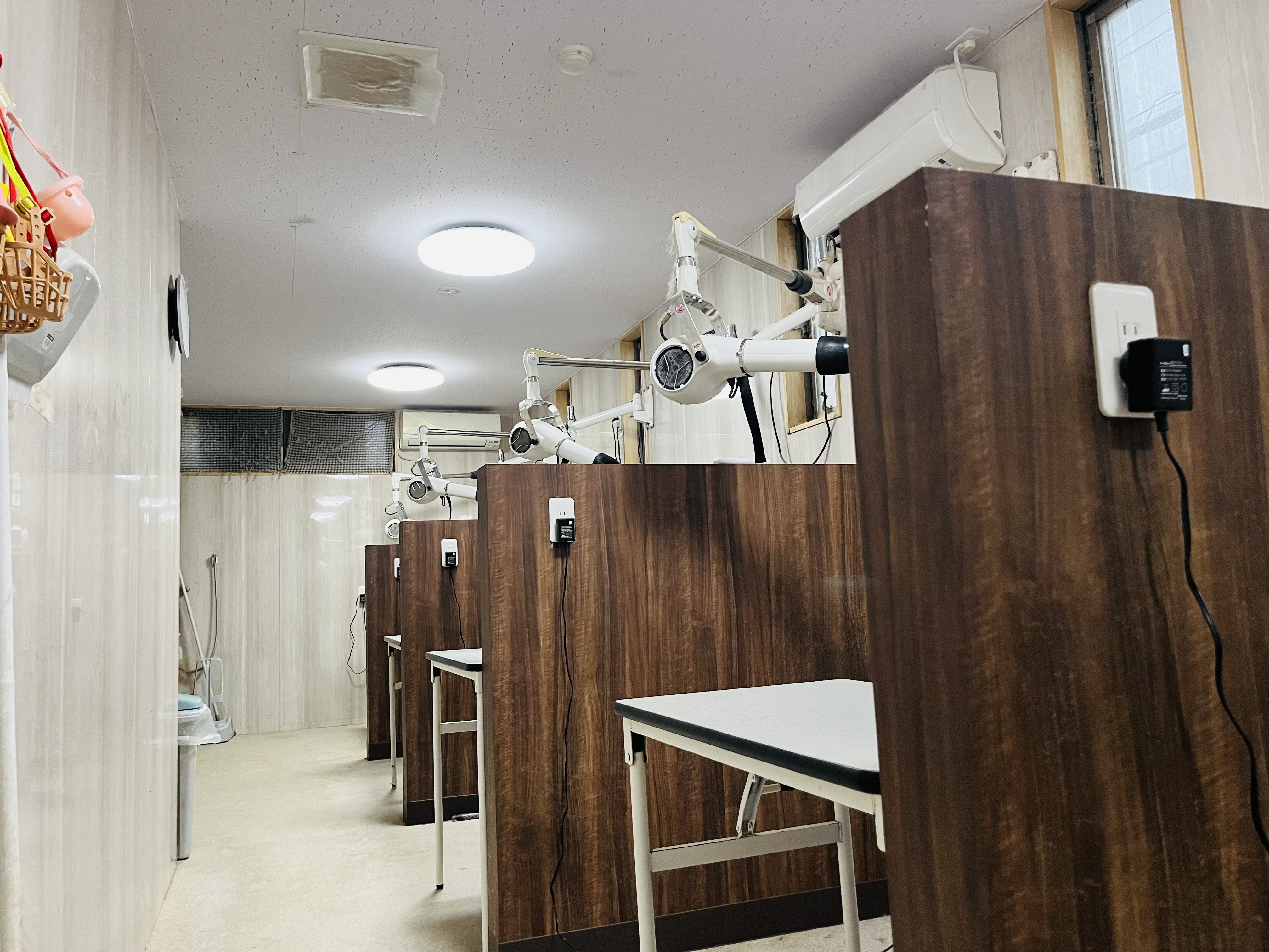 ペットショップいっぷく湖南店 4