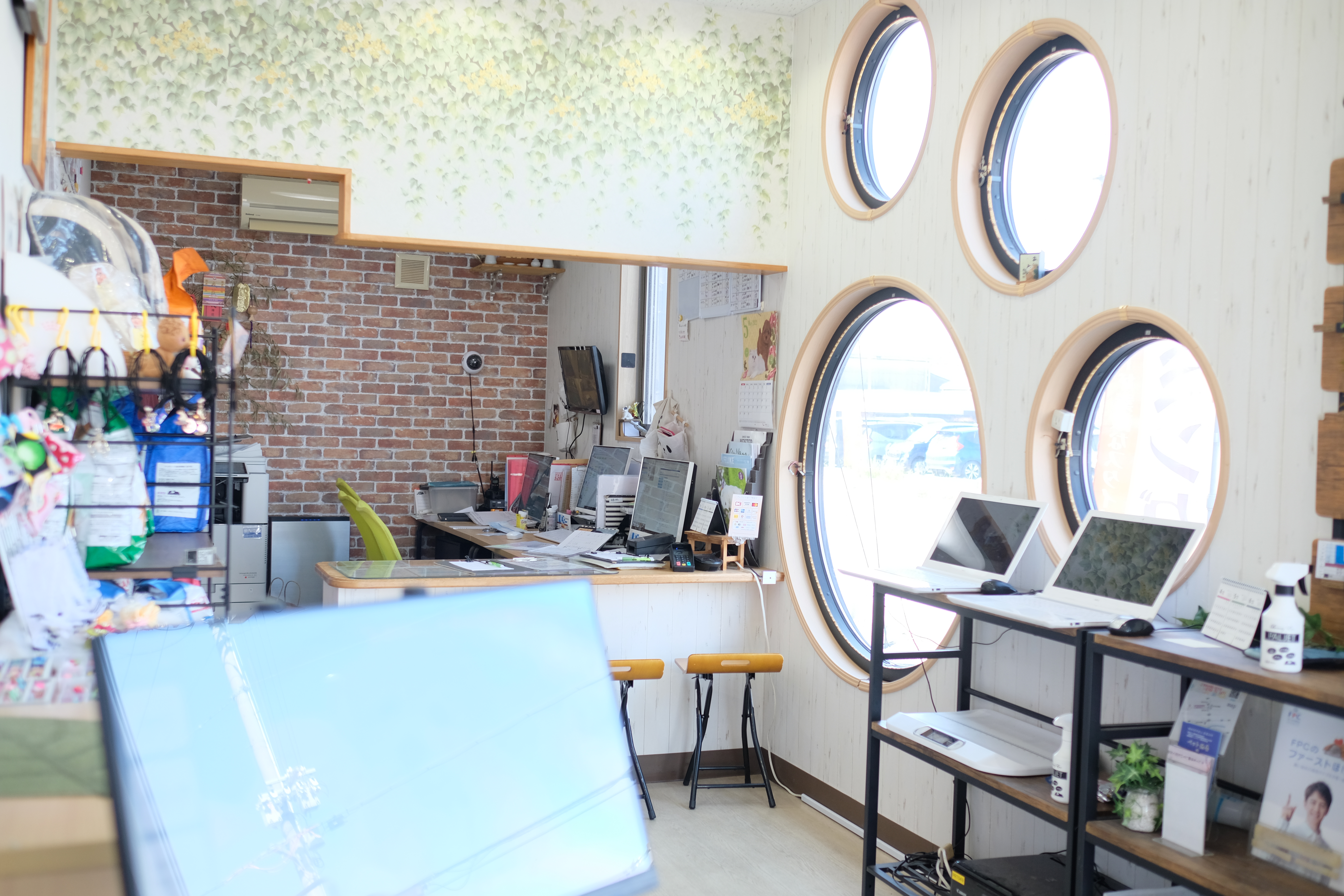 ペットショップいっぷく湖南店 5