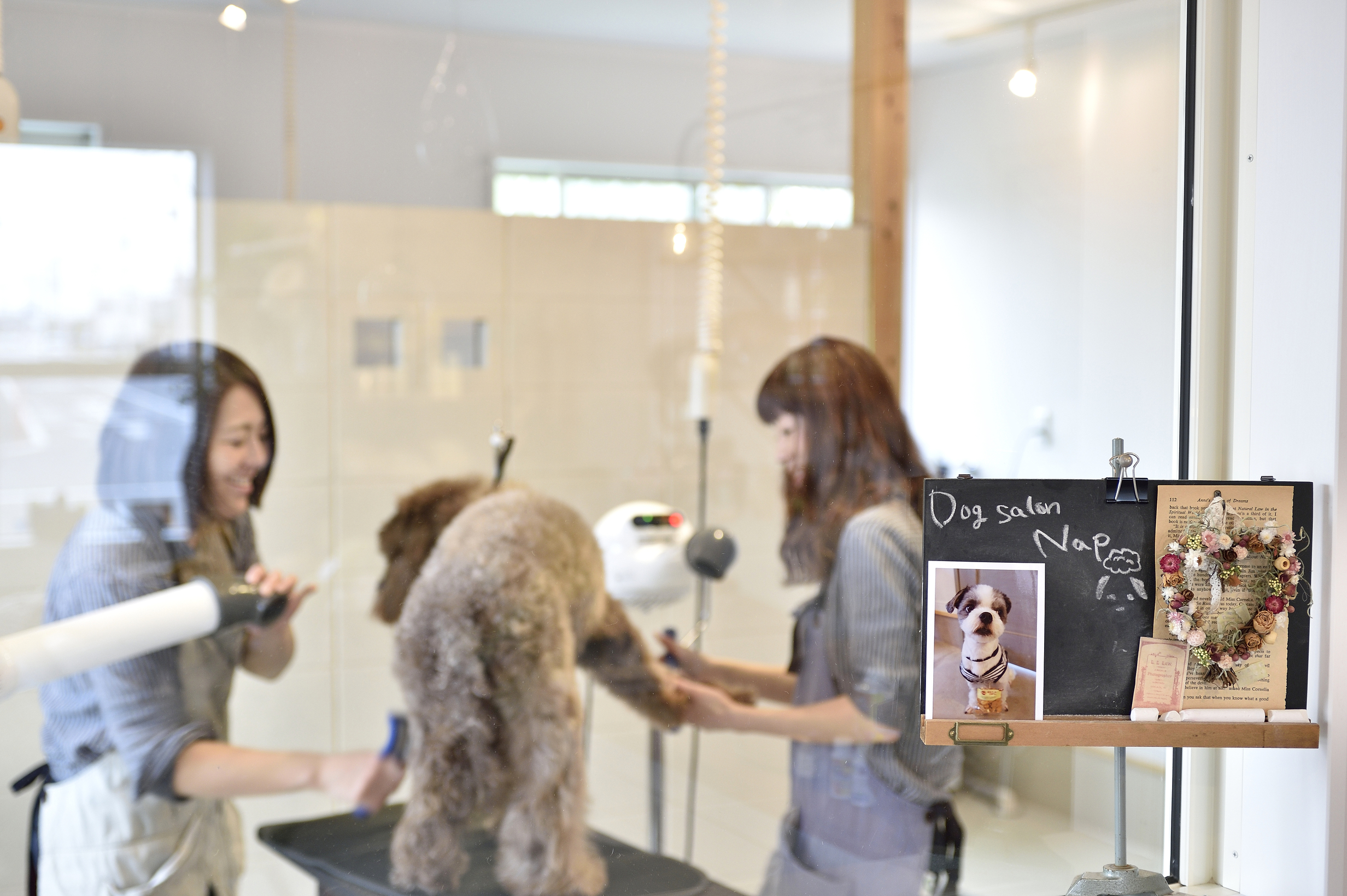 Dog salon Nap（ドッグサロンナップ） 10