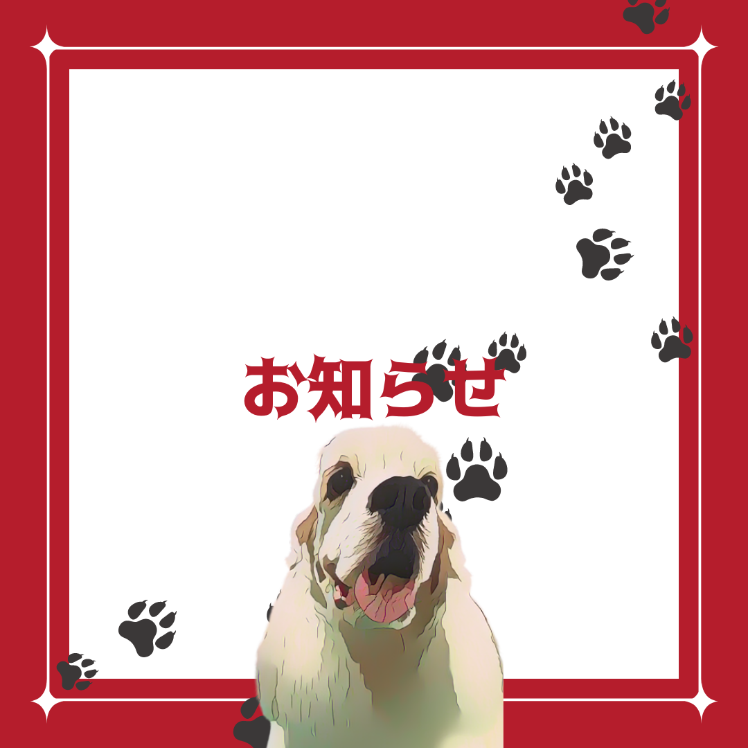 熊本県八代市のトリミングサロン ドッグサロンぴあ~のの1枚目