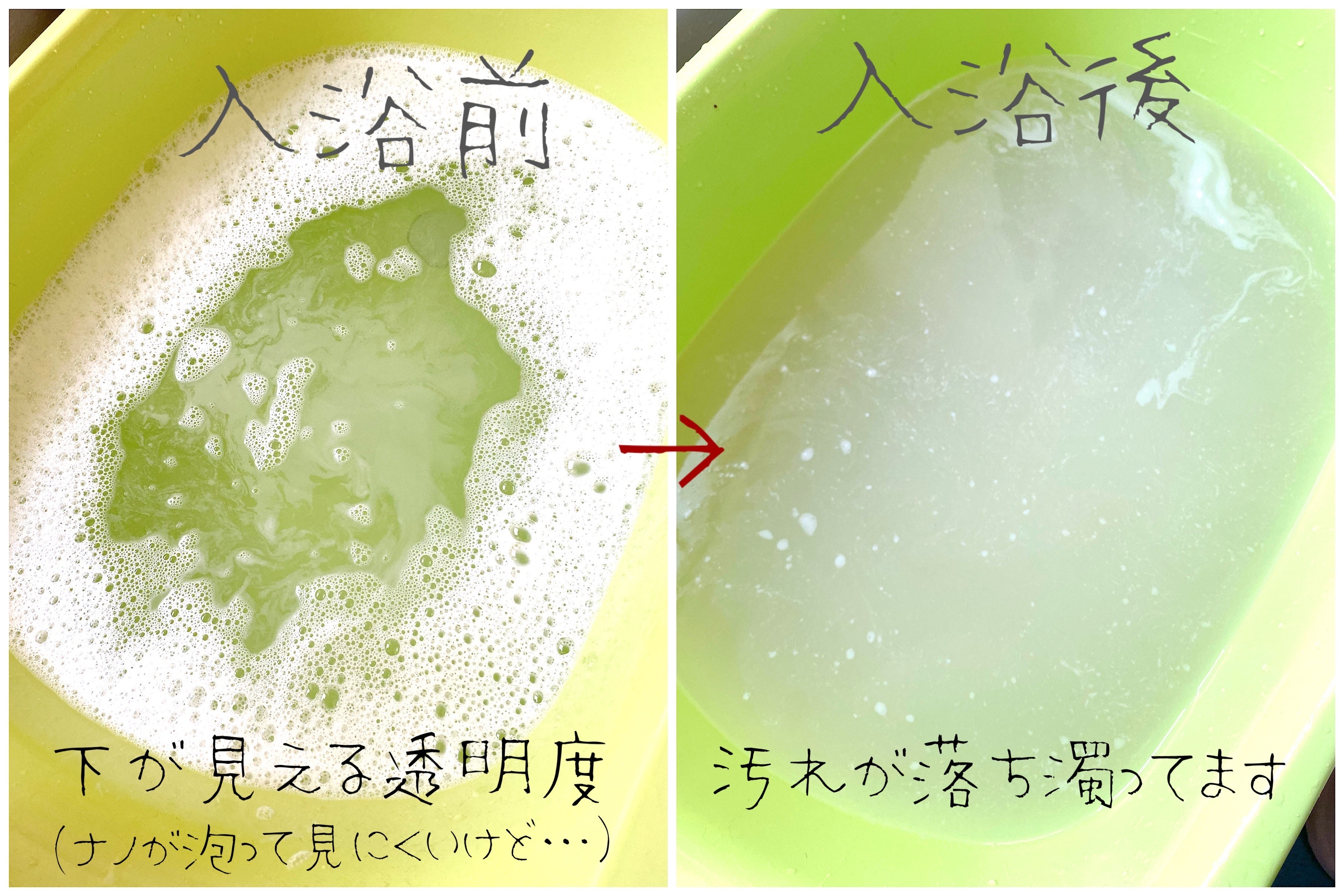 トリミングサロン トリミングサロン wanroomのトリミングカット-10384の1枚目