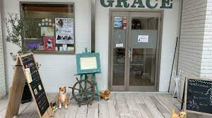 福岡県福岡市東区のトリミングサロン Dog Salon GRACEのサムネイル1枚目