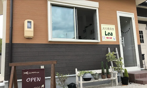 犬の美容室 Lea