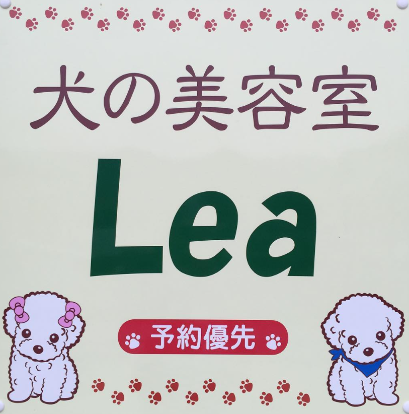 犬の美容室 Lea 4