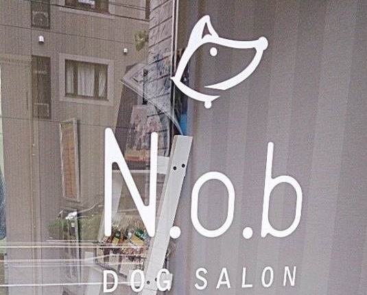 福岡県福岡市中央区のトリミングサロン  Dog Salon N.o.b   ドッグサロンエヌオービー のサムネイル1枚目