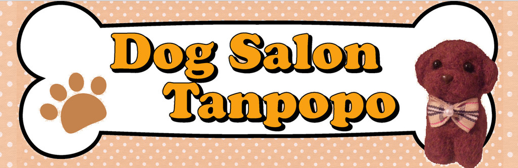 大阪府岸和田市のトリミングサロン Dog Salon Tanpopoのサムネイル2枚目