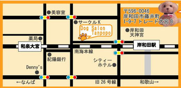 大阪府岸和田市のトリミングサロン Dog Salon Tanpopoの3枚目