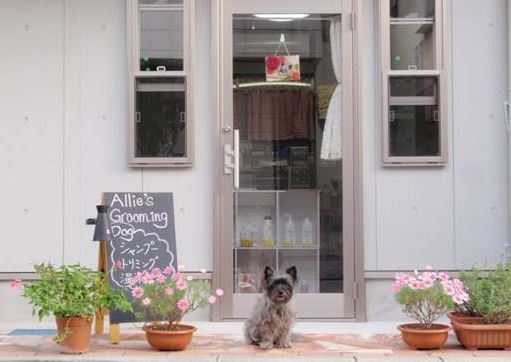 Allie`s Grooming のサムネイル