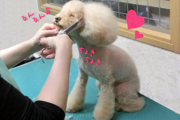 特徴