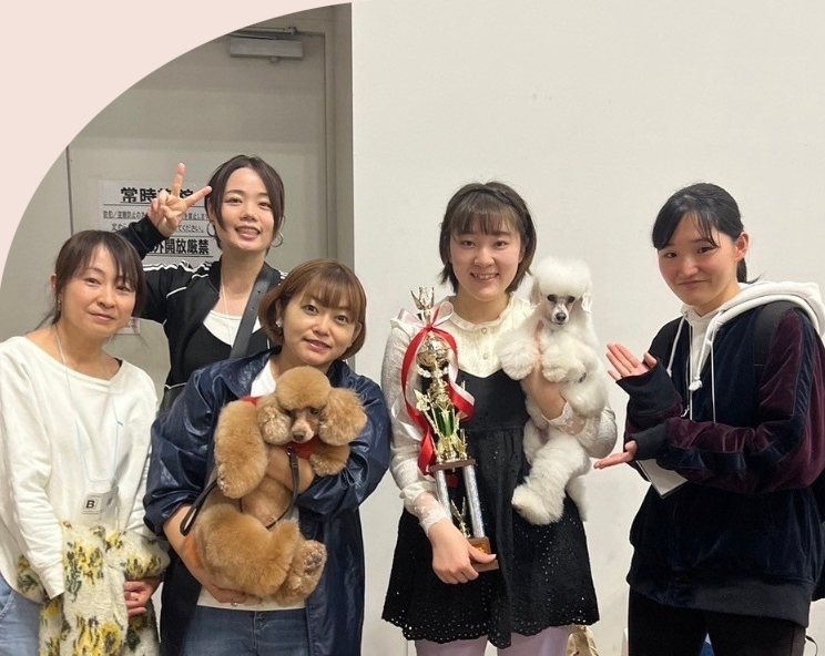 千葉県八千代市のトリミングサロン トリミングサロンRIPのサムネイル2枚目