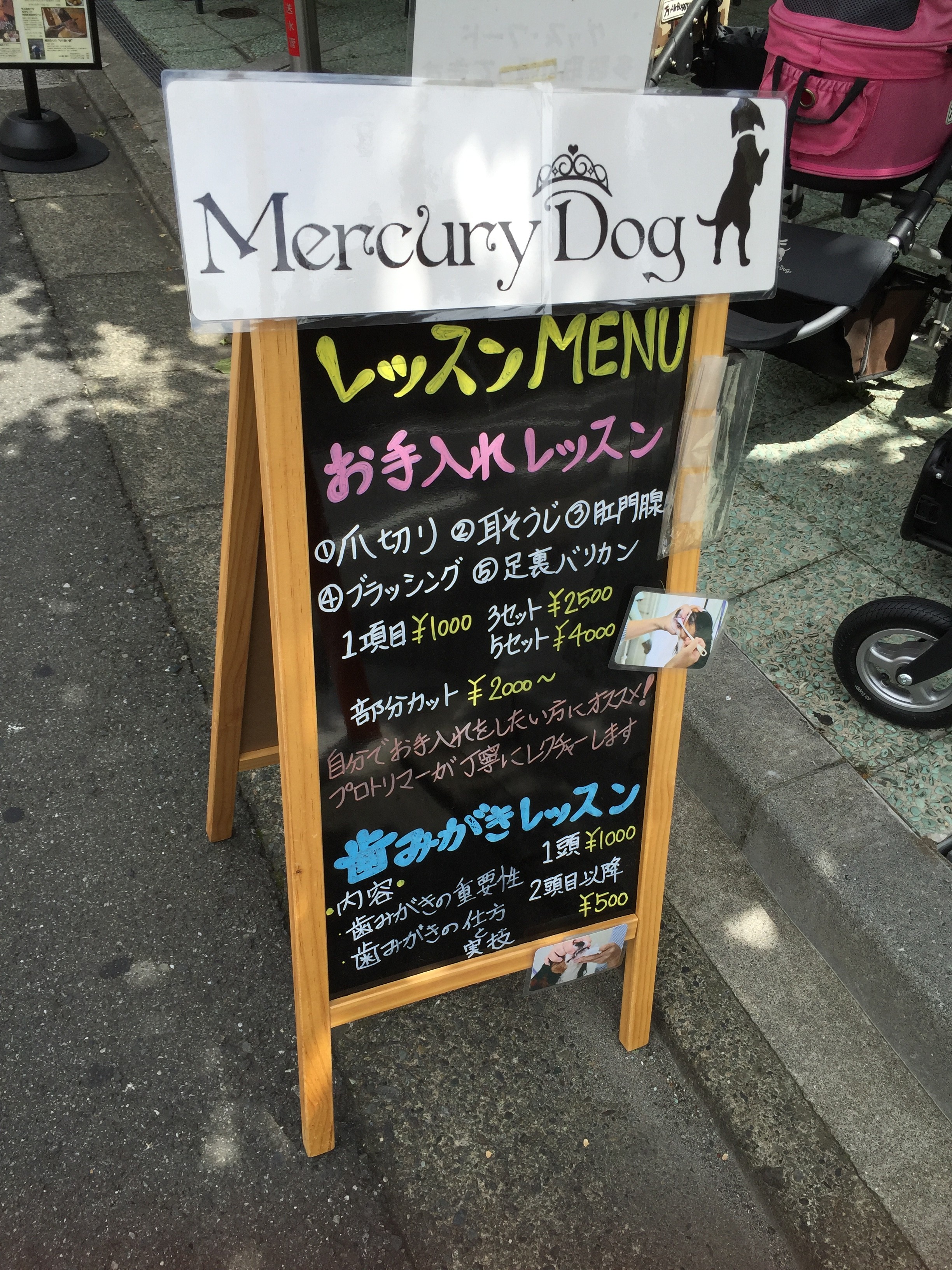 東京都目黒区のトリミングサロン Mercury Dogの7枚目