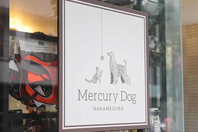 Mercury Dog 1