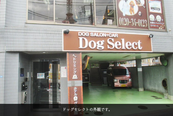 東京都大田区のトリミングサロン Dog Selectの1枚目