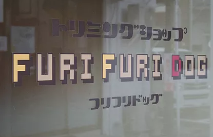 東京都豊島区のトリミングサロン FURI FURI DOGの3枚目
